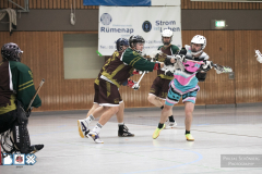 Dortmund vs. Prachtsternschnecken