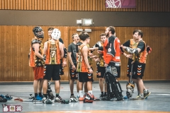 labox18_52033