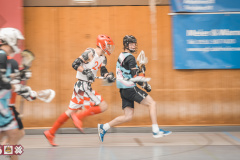 Blax vs. Prachtsternschnecken