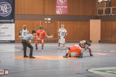Brolg vs. Aachen