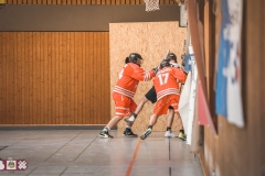 labox18_52124