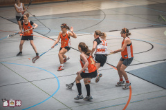 Blax vs. Retronixen